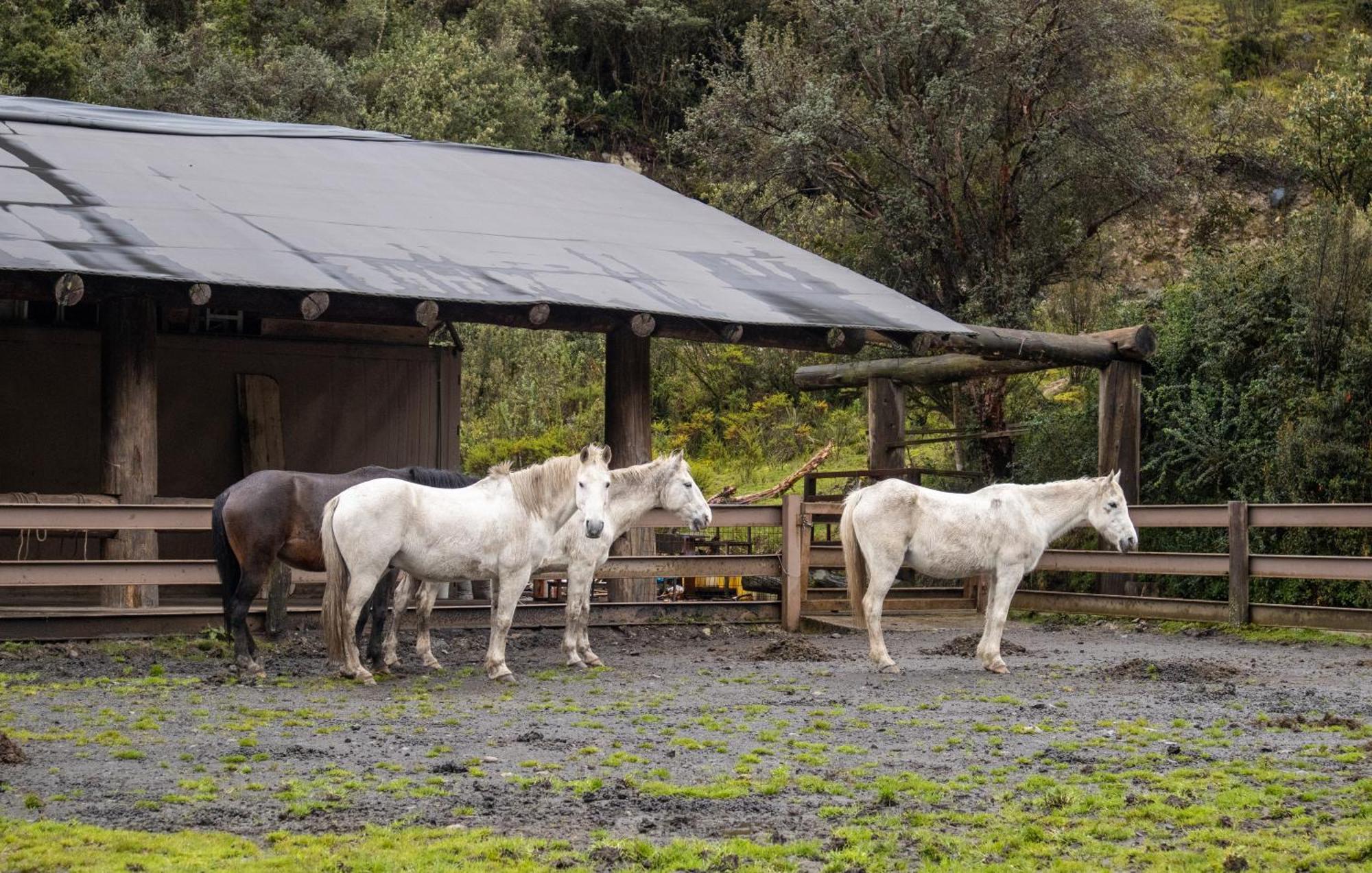 Hacienda Hosteria Dos Chorreras Cuenca Buitenkant foto